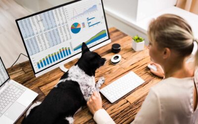 When the System Isn’t Made for You: Neurodivergent Strategies for Tracking Work Deadlines and Navigating Overwhelming Spreadsheets