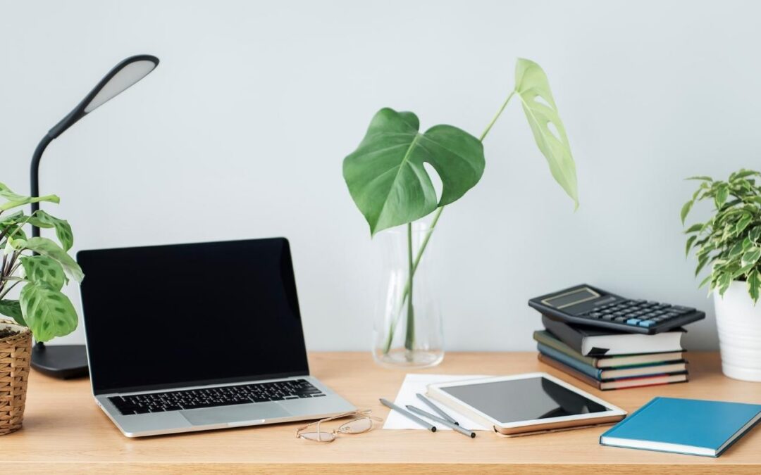 Eat That Frog vs Create Momentum First: How to Start When Starting Is Hard